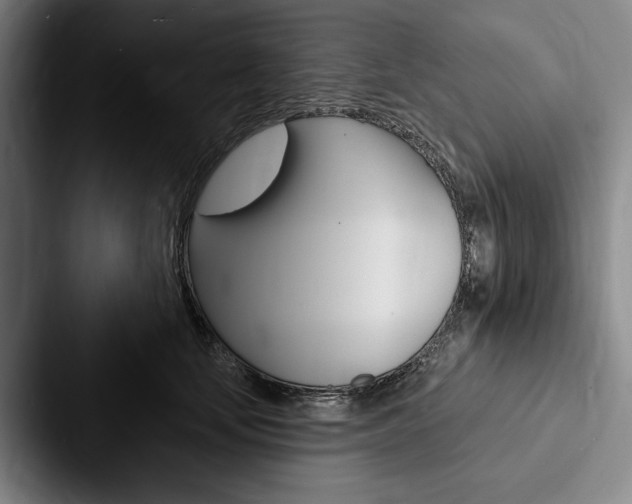X0000088060659200705110915