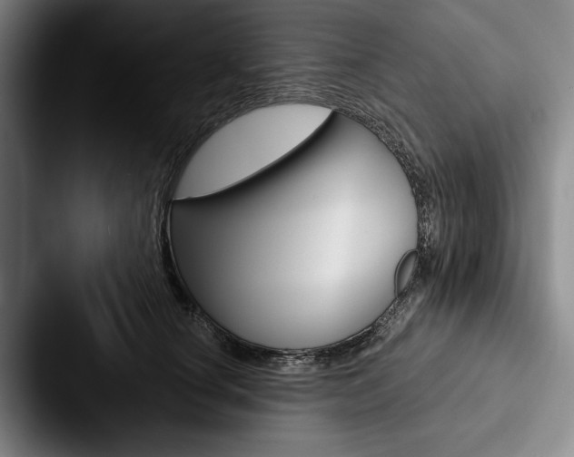 X0000088060660200705110915