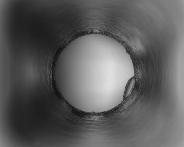 X0000088060661200705110915
