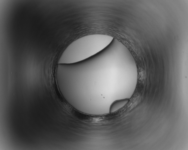 X0000088060662200705110915
