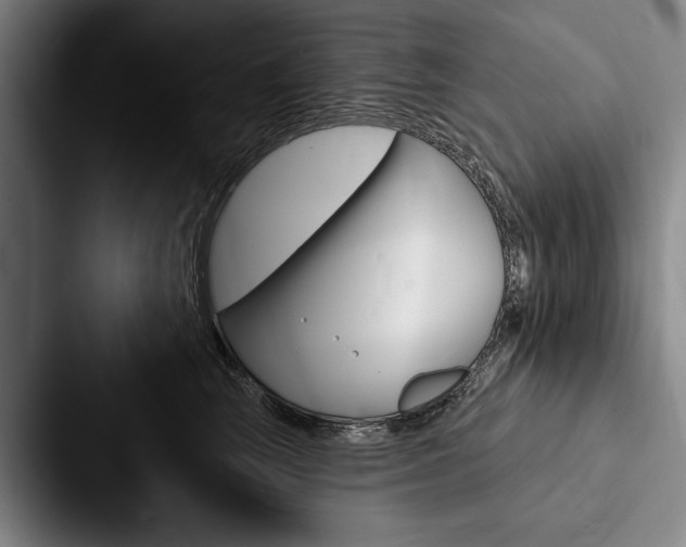 X0000088060663200705110915