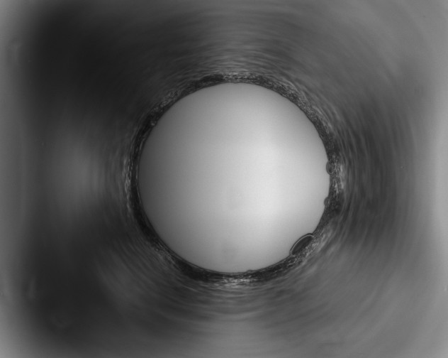 X0000088060664200705110915