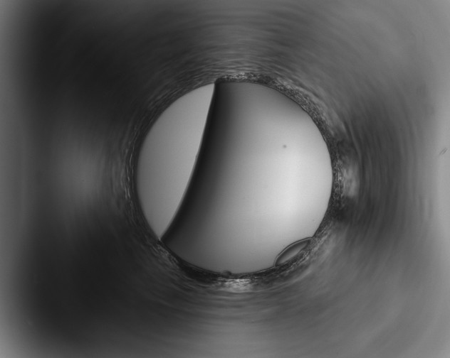 X0000088060665200705110915