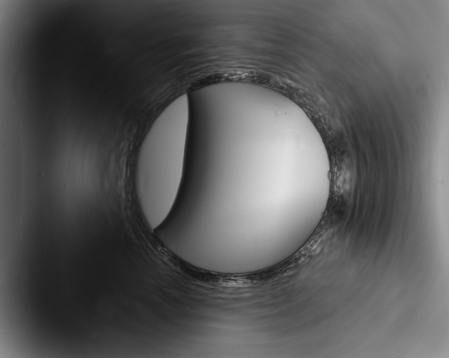 X0000088060666200705110915