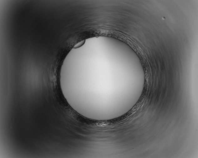 X0000088060668200705110915