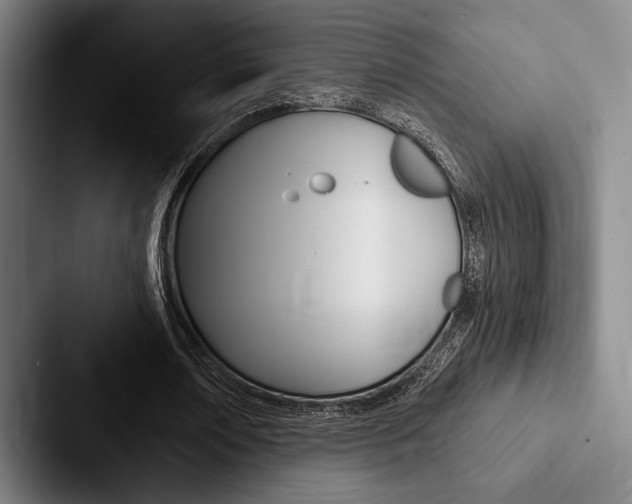 X0000088060674200705110914
