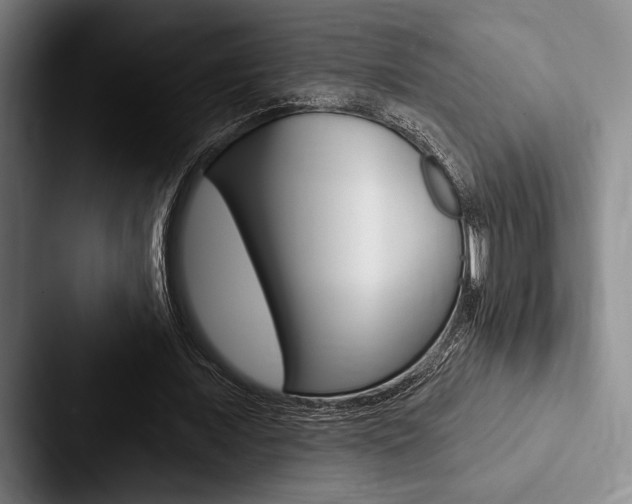 X0000088060675200705110914