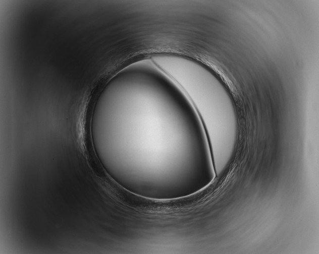 X0000088060677200705110914