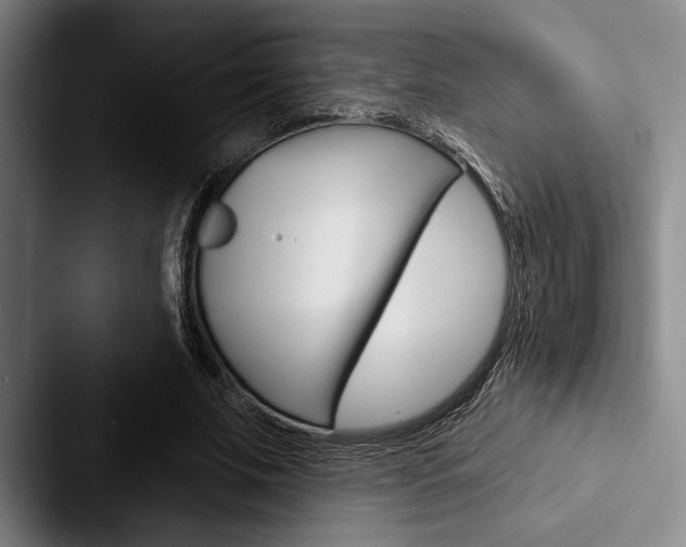 X0000088060679200705110914