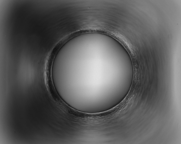 X0000088060680200705110914