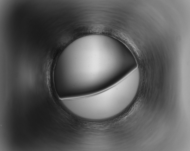 X0000088060681200705110914