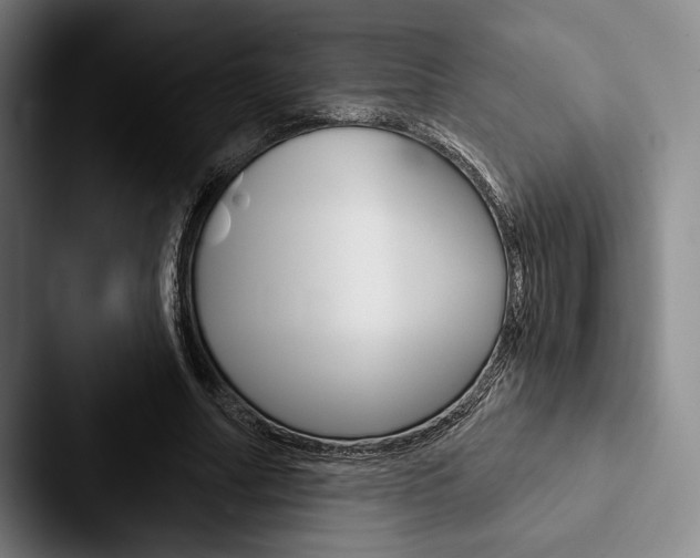 X0000088060682200705110914