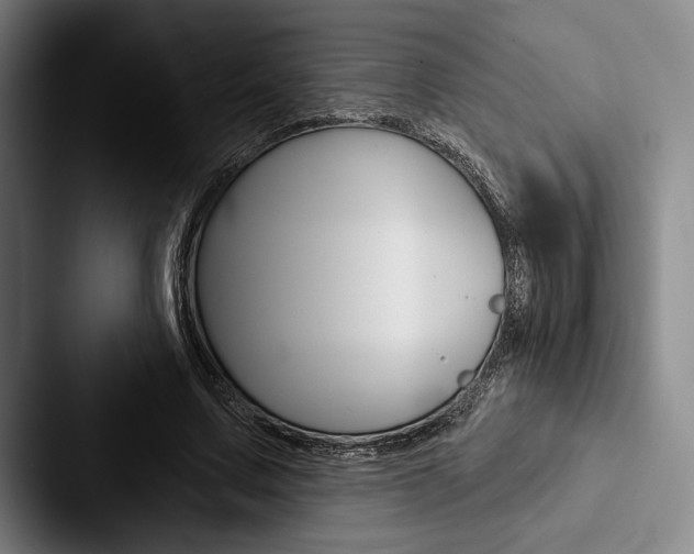 X0000088060683200705110914