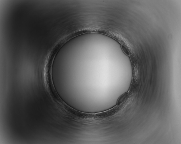 X0000088060684200705110914