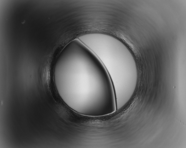 X0000088060685200705110914