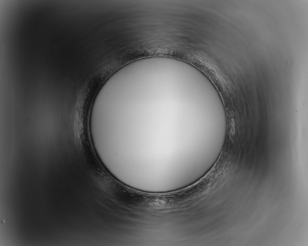 X0000088060687200705110914