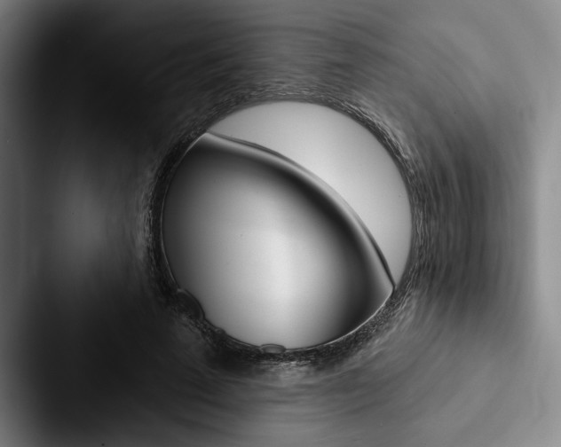 X0000088060689200705110914