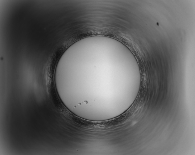X0000088060691200705110914