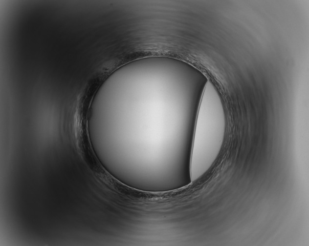 X0000088060692200705110914