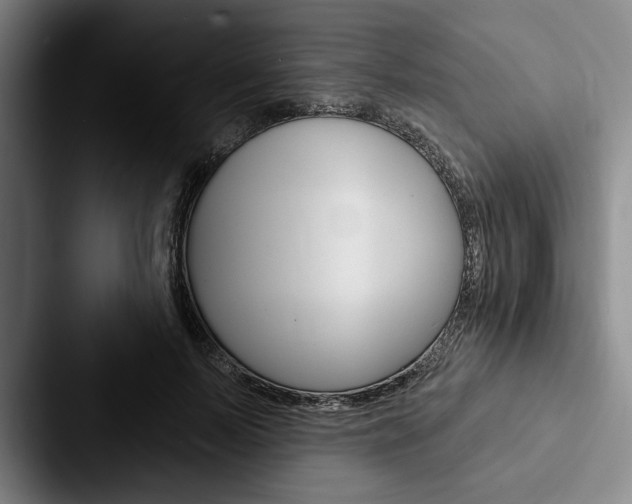 X0000088060695200705110914