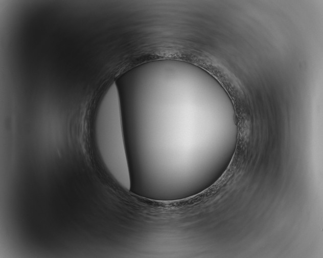 X0000088060696200705110914