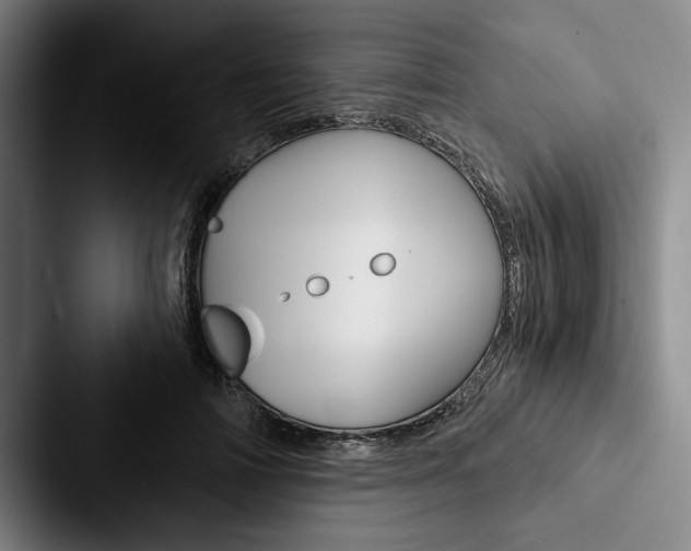 X0000088060698200705110914