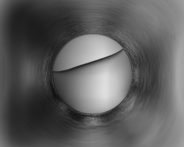 X0000088060699200705110914