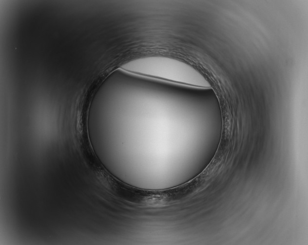 X0000088060700200705110914
