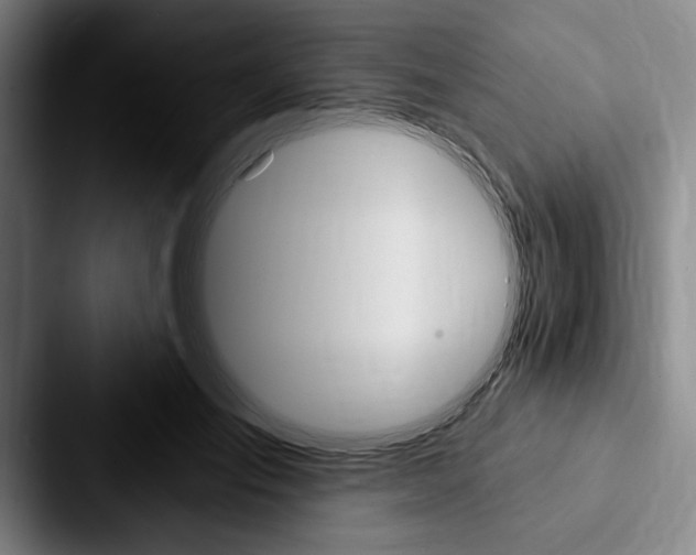 X0000088060701200705110914