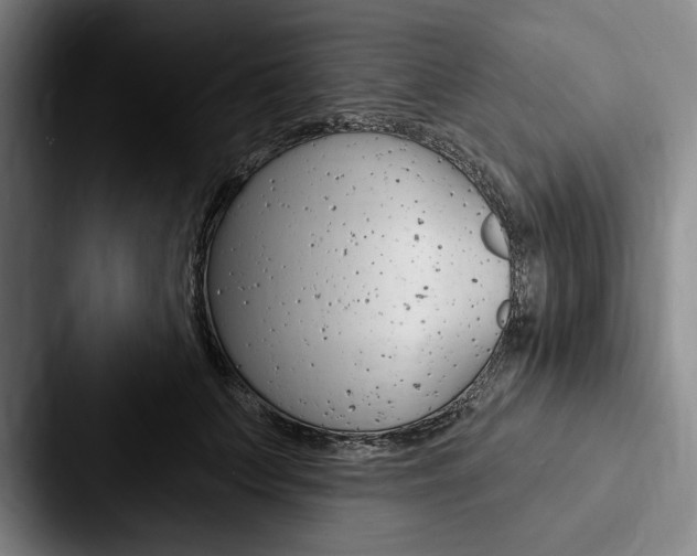 X0000088060703200705110914