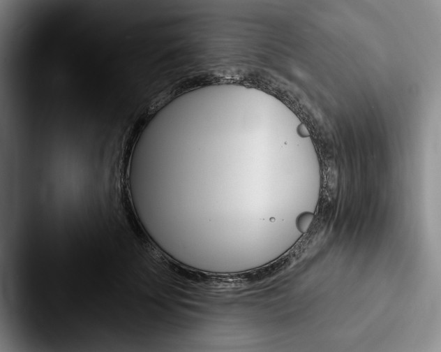 X0000088060707200705110914