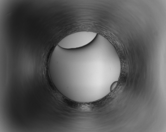 X0000088060710200705110914