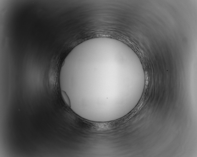 X0000088060713200705110914