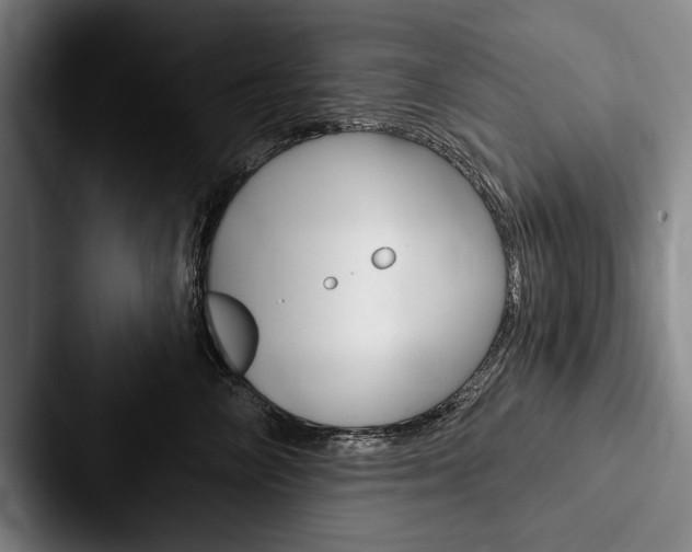 X0000088060714200705110914
