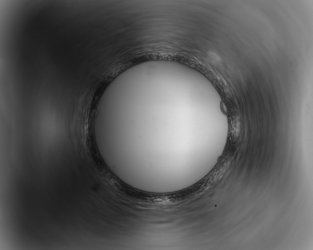 X0000088060715200705110914