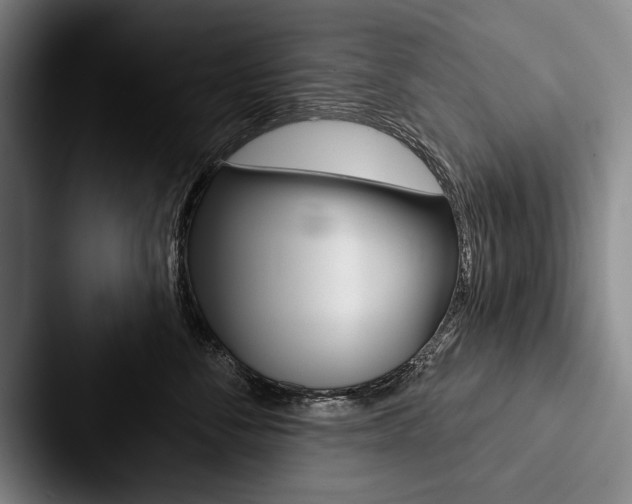 X0000088060716200705110914