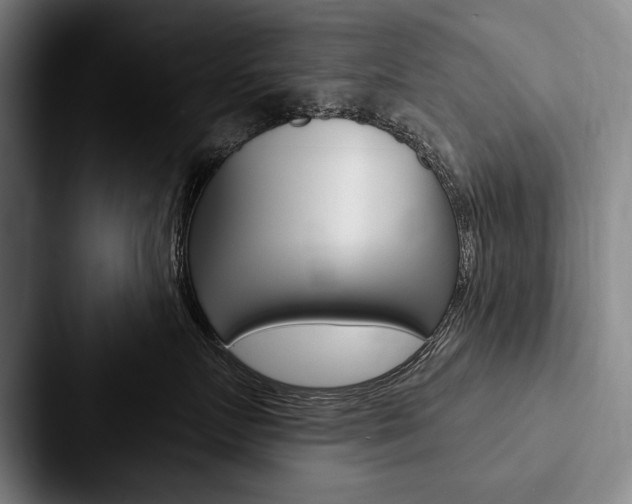 X0000088060719200705110913