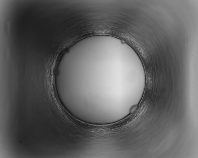 X0000088060721200705110913