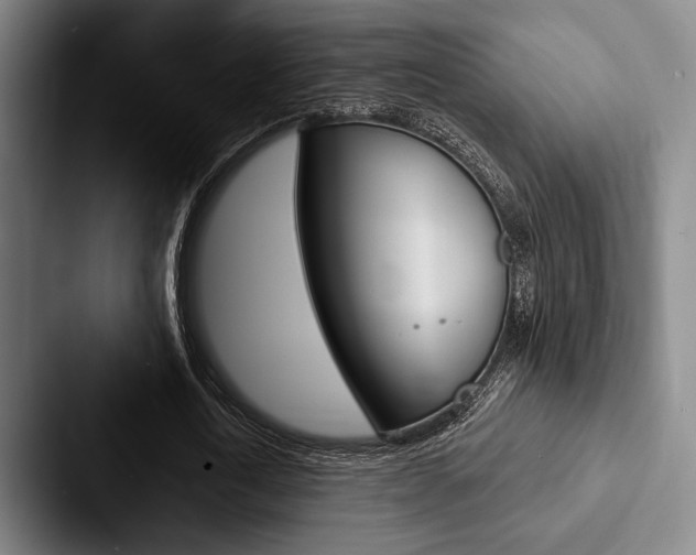 X0000088060722200705110913