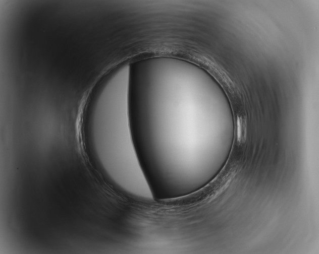 X0000088060723200705110913