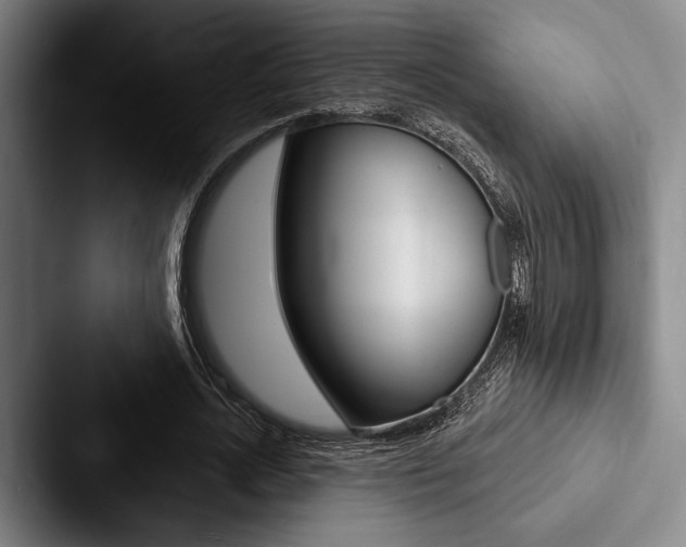 X0000088060724200705110913