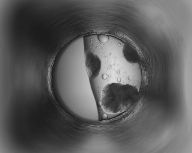 X0000088060725200705110913