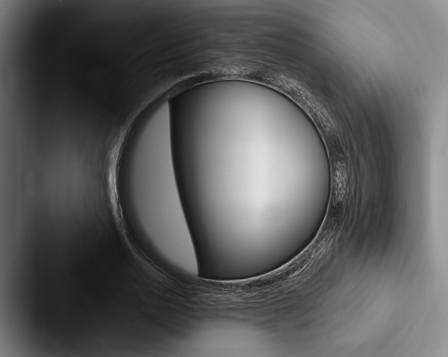 X0000088060726200705110913