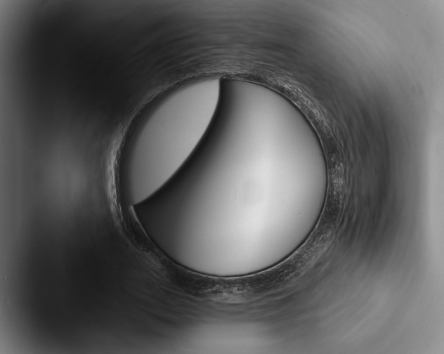 X0000088060727200705110913