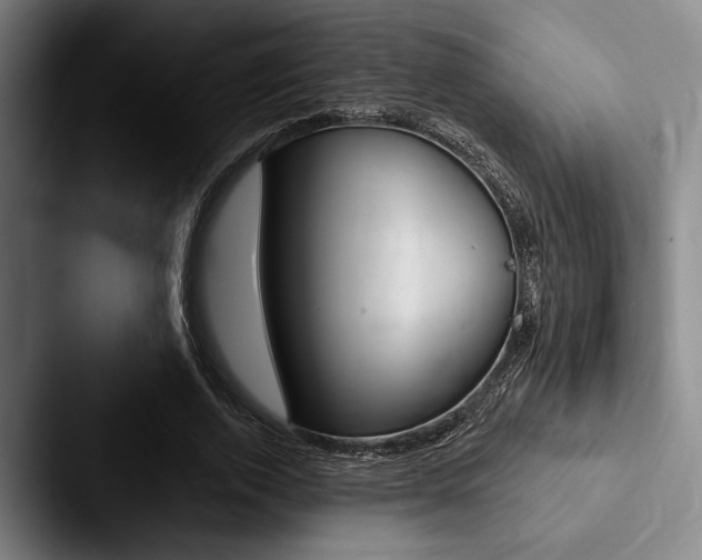 X0000088060728200705110913