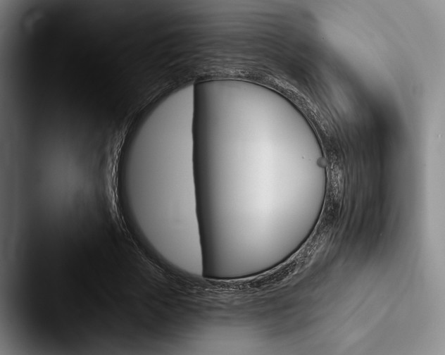 X0000088060729200705110913