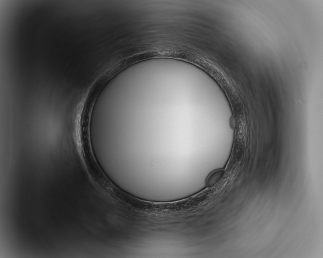 X0000088060730200705110913