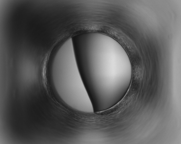 X0000088060731200705110913