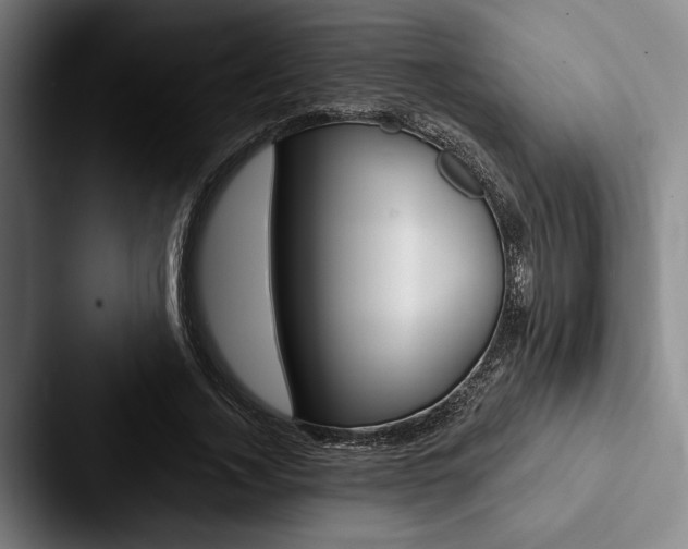X0000088060732200705110913