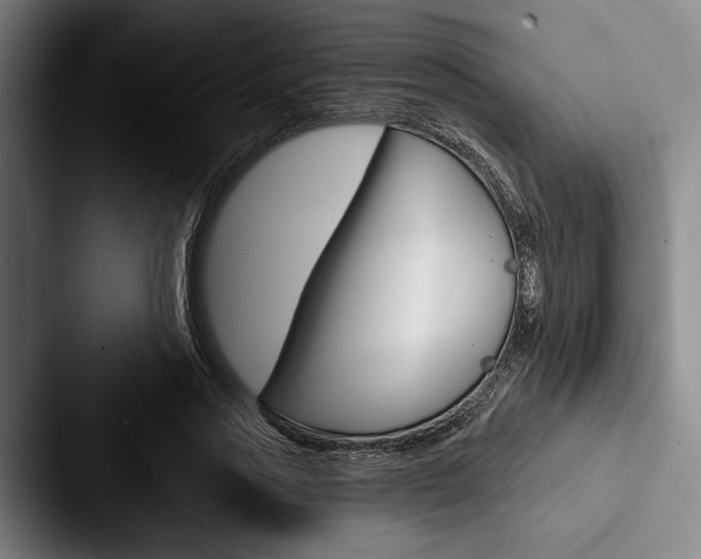 X0000088060733200705110913